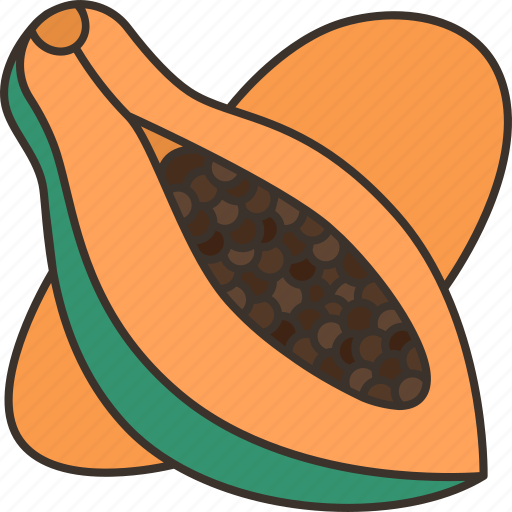 Papaya, fruit, food, diet, plant icon - Download on Iconfinder