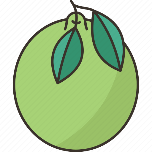 Pomelo, citrus, fruit, juicy, tropical icon - Download on Iconfinder