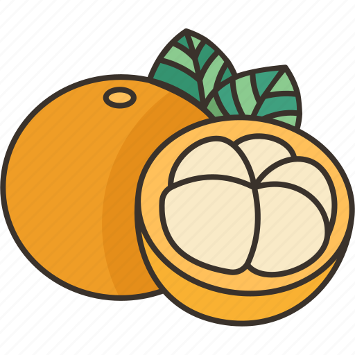 Santol, food, sour, fruit, tropical icon - Download on Iconfinder