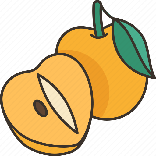 Sapodilla, plum, fruit, juicy, tropical icon - Download on Iconfinder