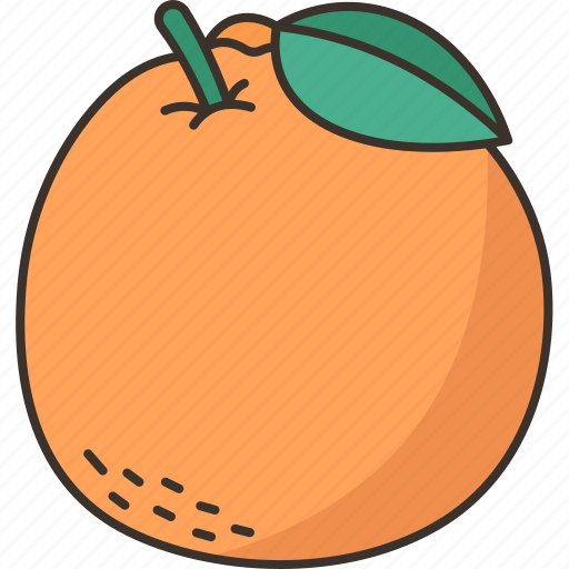 Tangerine, citrus, fruit, juicy, vitamin icon - Download on Iconfinder