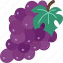 grape, fruit, bunch, vine, juice