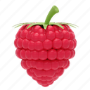 raspberry, fruit, healthy, orange, tropical, sweet, organic, fresh, diet 