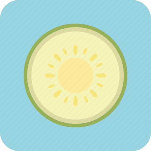 Agriculture, cantaloupe, cuisine, drink, food, fruit, nature icon - Download on Iconfinder
