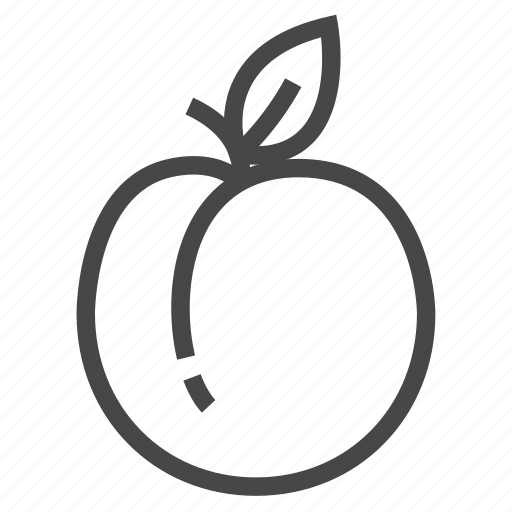 Fruit, peach icon - Download on Iconfinder on Iconfinder