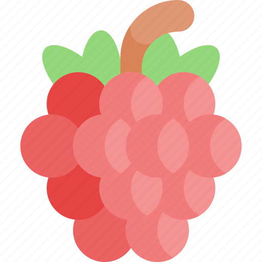 Raspberry, fruit, vegetable, food, healthy food, diet, vegetarian icon - Download on Iconfinder