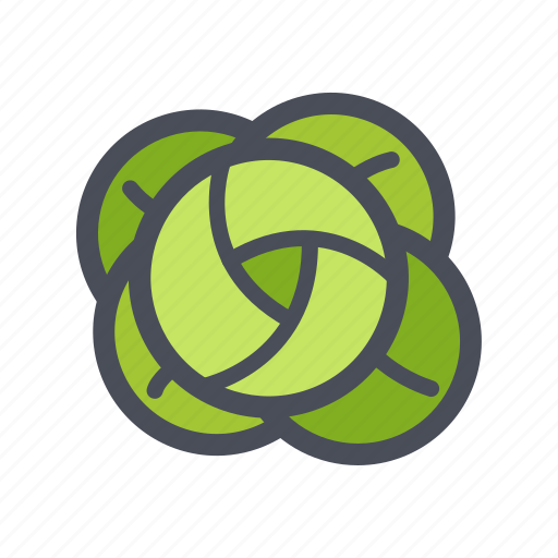 Fresh, fruit, healthy, natural, organic, vegetable, vitamin icon - Download on Iconfinder