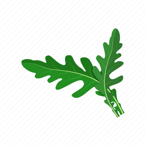 Arugula, leaf, plant, raw vegan, vegetable icon - Download on Iconfinder