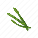 asparagus, food, plant, raw vegan, vegetable 