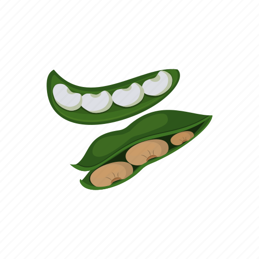 Beans, food, raw vegan, seed, vegetable icon - Download on Iconfinder