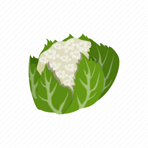 Cauliflower, brassica, food, vegetable icon - Download on Iconfinder