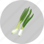leaf, green onion, plant, vegetable 