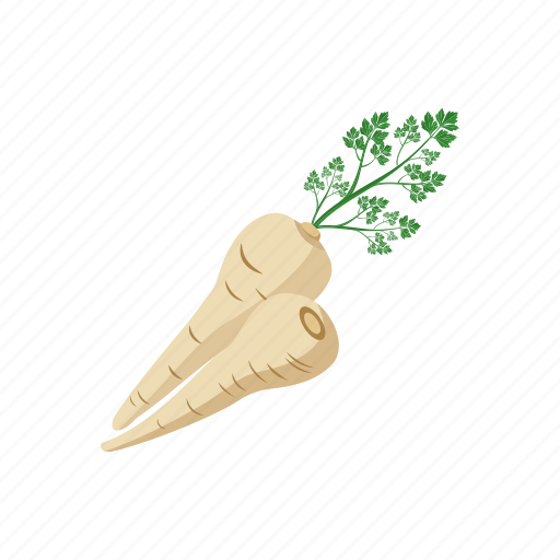 Parsley, root icon - Download on Iconfinder on Iconfinder
