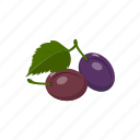 plums, fruit
