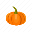 pumpkin, halloween