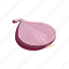 onion, red onion, vegetable 