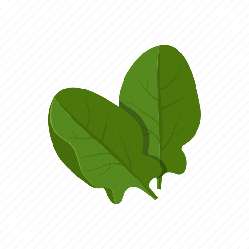 Spinach, vegetable icon - Download on Iconfinder