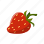 strawberry, fruit 