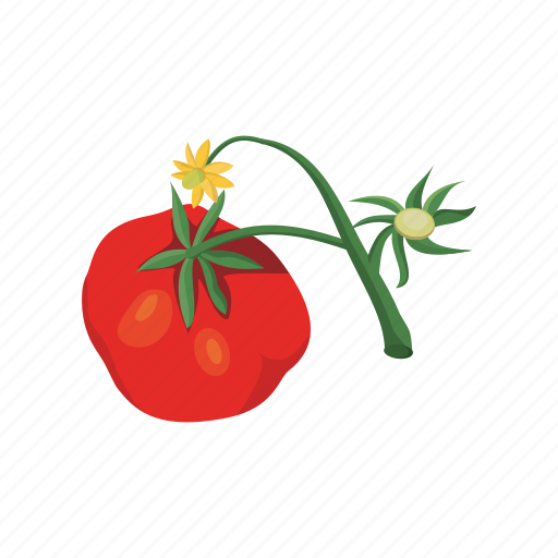 Tomato, vegetable icon - Download on Iconfinder
