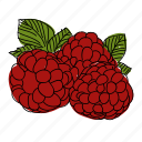 food, fruit, produce, raspberry, reastaurant, red