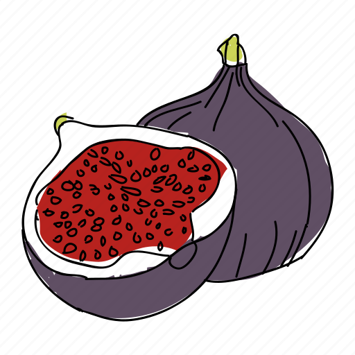 Fig, figs, food, fruit, purple, restaurant icon - Download on Iconfinder