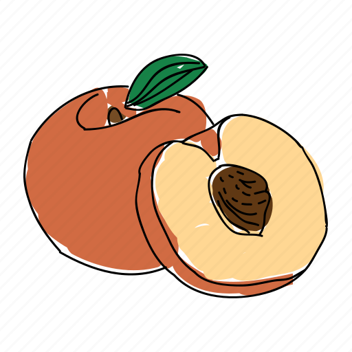 Farm Food Fruit Orange Peach Peach Pit Icon Download On Iconfinder