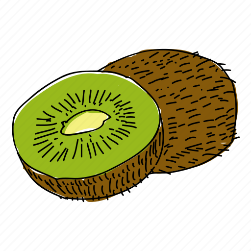 Citrus, eat, food, fruit, kiwi, restaurant icon - Download on Iconfinder