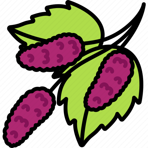 Mulberry, three, fruit, food, sweet icon - Download on Iconfinder