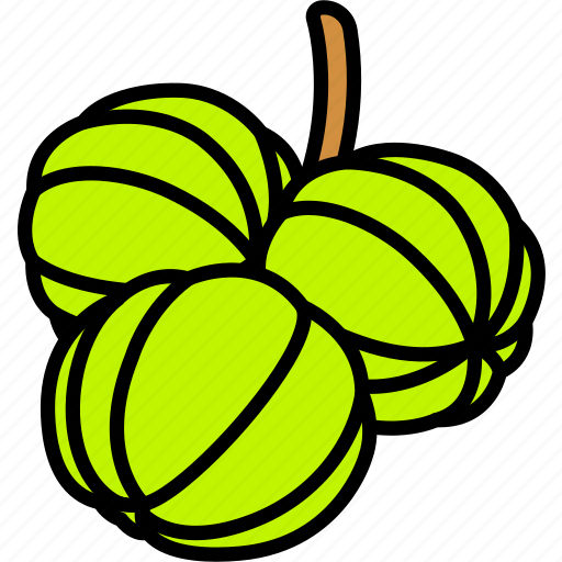 Gooseberry, three, fruit, food, sweet icon - Download on Iconfinder