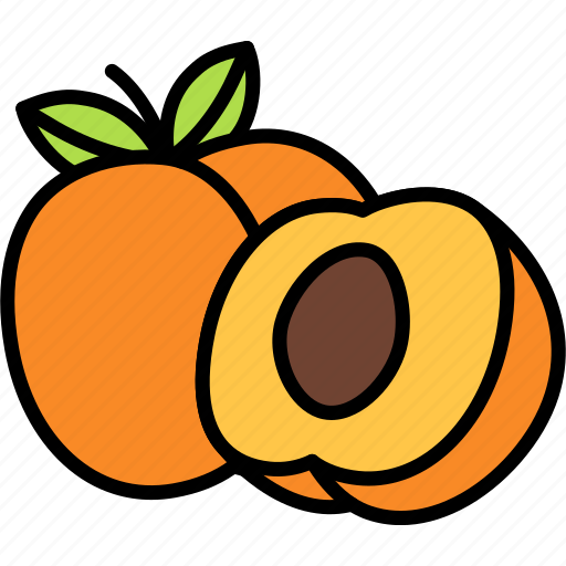 Apricot, with, half, cut, fruit, food, sweet icon - Download on Iconfinder