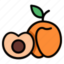 apricot, fruit, food, peach, harvest