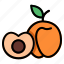 apricot, fruit, food, peach, harvest 