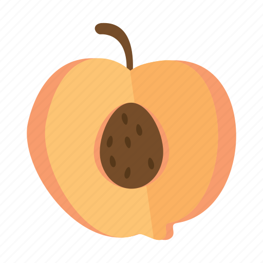 Food, fruits, nature, peach icon - Download on Iconfinder