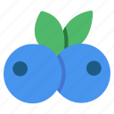 blueberries, juicy, fruit, sweet, berry