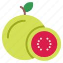 guava, fruit, juice, ripe, food