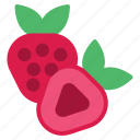 strawberry, fruit, berry, ripe, organic