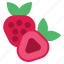 strawberry, fruit, berry, ripe, organic 