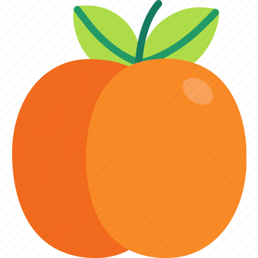Apricot, fruit, food, sweet icon - Download on Iconfinder