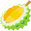durian, half, cut, fruit, food, sweet