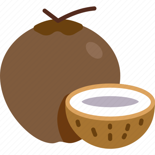 Mature, coconut, and, shell, half, cut, fruit icon - Download on Iconfinder