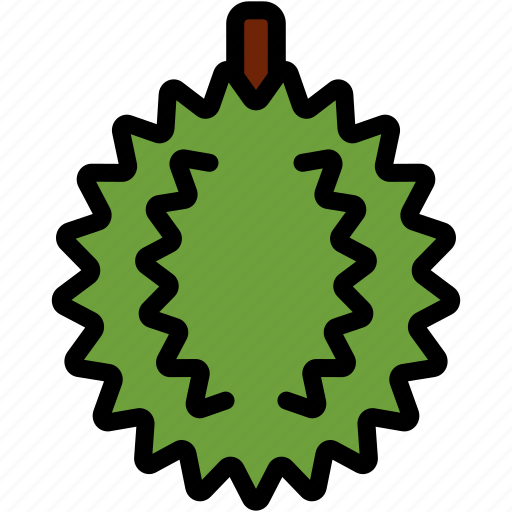 Asian, durian, food, fresh, fruit, organic, tropical icon - Download on Iconfinder
