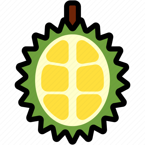 Asian, durian, fresh, fruit, half, organic, tropical icon - Download on Iconfinder
