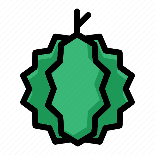 Durian, durian fruit, fruit, organic, tropical icon - Download on Iconfinder