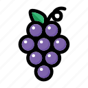 fruit, grape, grape fruit, grapes, wine 