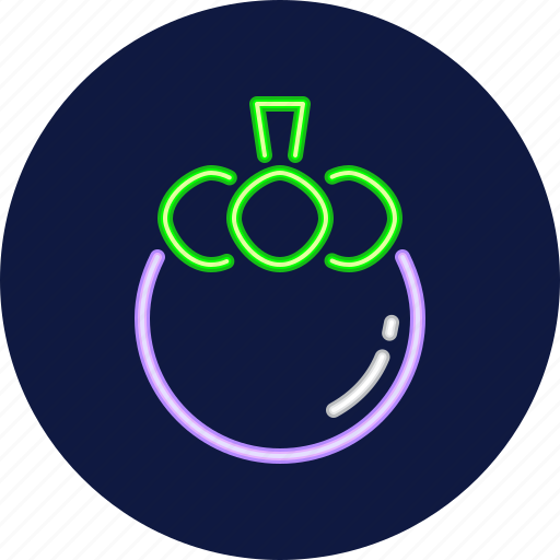 Mangosteen, fruit, food, nutrition, healthy, organic, juice icon - Download on Iconfinder