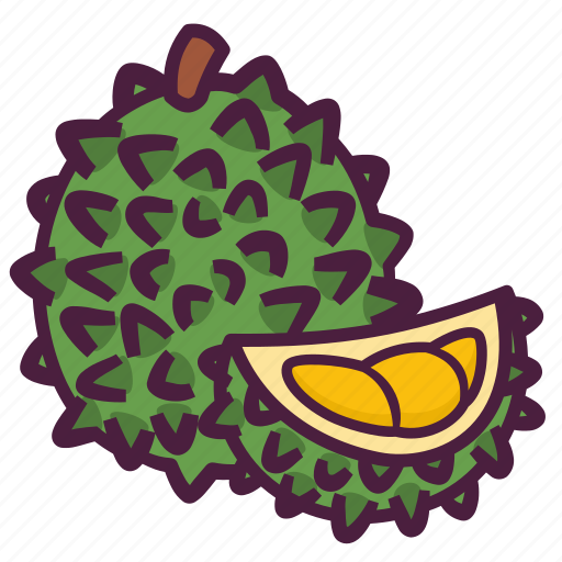 Fruit, food, durian, tropical, slice, pulp, flesh icon - Download on Iconfinder