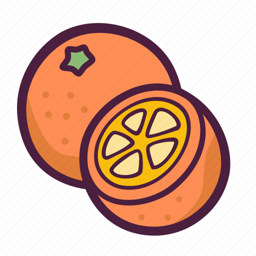 Fruit, food, orange, healthy, citrus, slice, half icon - Download on Iconfinder