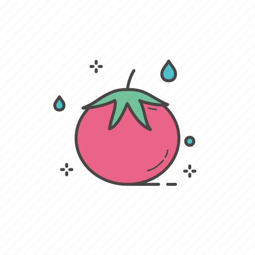 Food, fresh, fresh fruit, fruit, healthy, healthy food, tomato icon - Download on Iconfinder