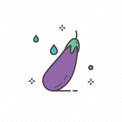 Eggplant, food, fresh, fresh fruit, fruit, healthy, healthy food icon - Download on Iconfinder