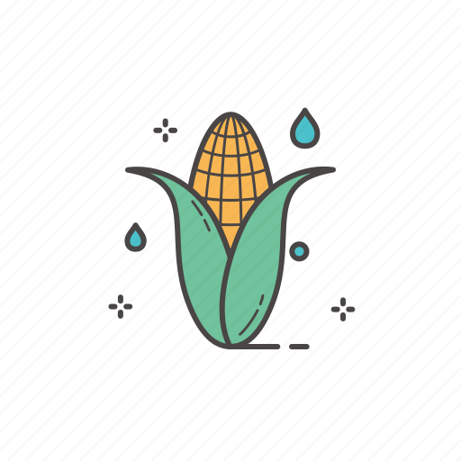 Corn, food, fresh, fresh fruit, fruit, healthy, healthy food icon - Download on Iconfinder